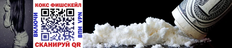COCAIN Fish Scale  Купить закладки  Озёрск 