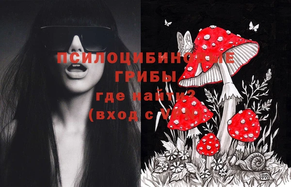 прущие крисы Кукмор